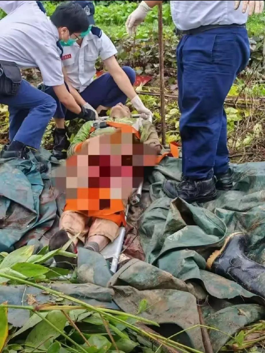 香港野猪伤人事件频发，我们该如何应对？

在繁华的香港，野猪伤人事件再次上演，令