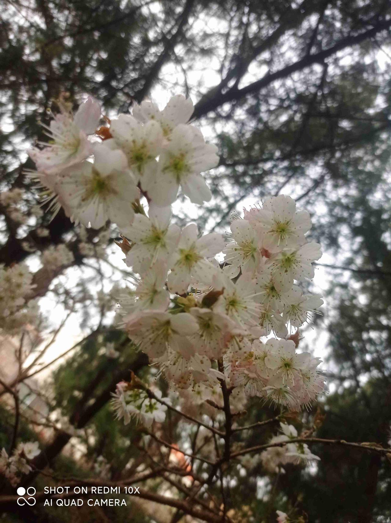 我的今日状态：🏝️旅行度假
我这里的天气：☀️晴天