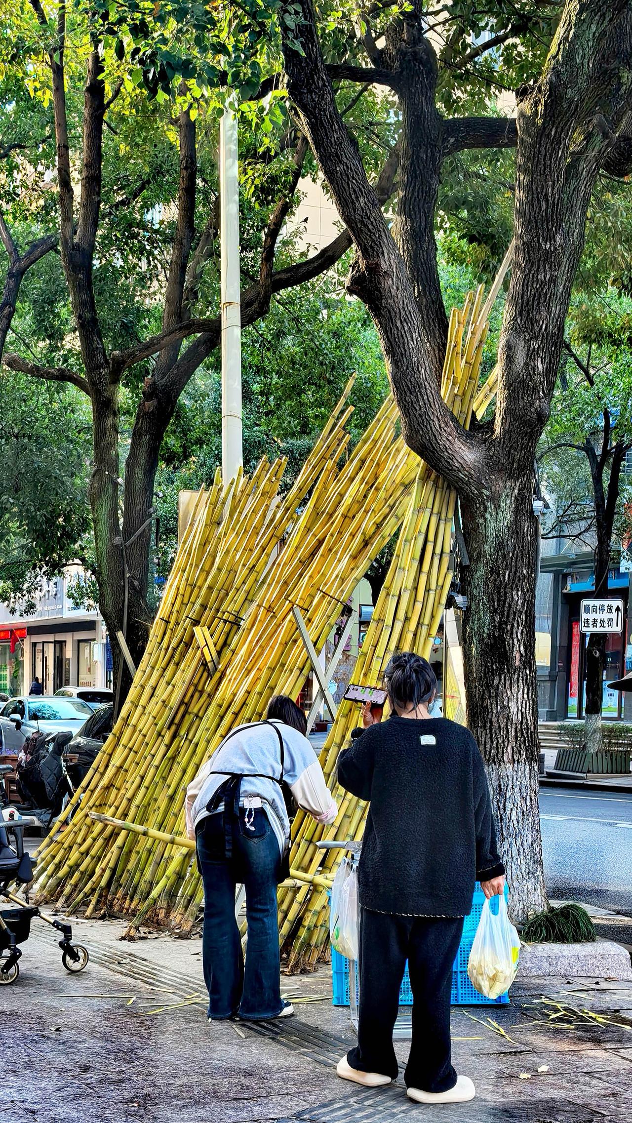 街边随拍人文手机随拍每一帧都是热爱我的摄影日记分享
