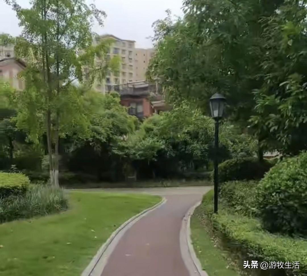 这里是四川的南充
昨天还在经历炎热的夏季，今天的一场雨，气候仿佛一下子进入了深秋