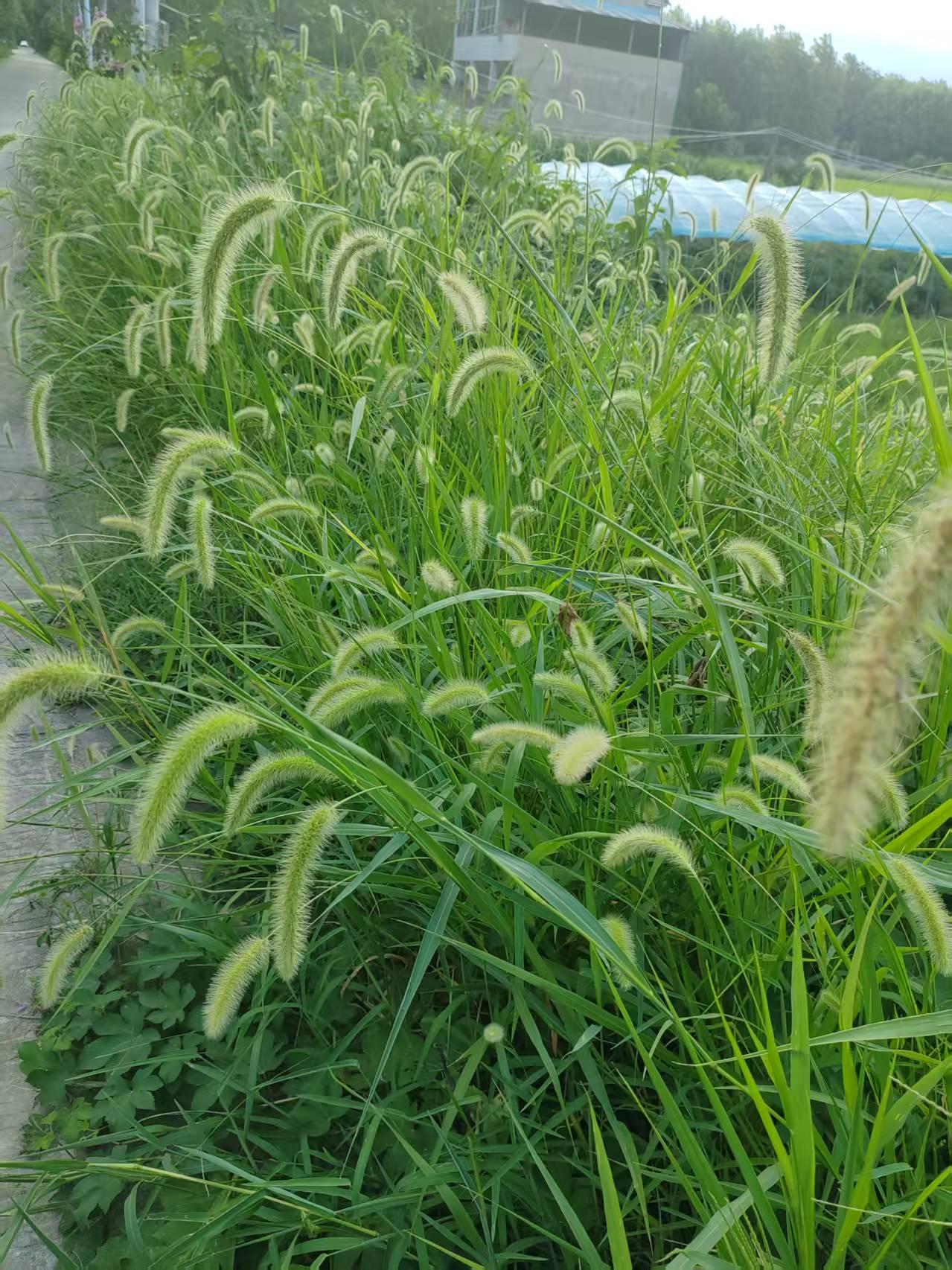 给自己一句话，你会说什么?
少纠结过往，别焦虑未来，专注当下每一步，认真生活就已