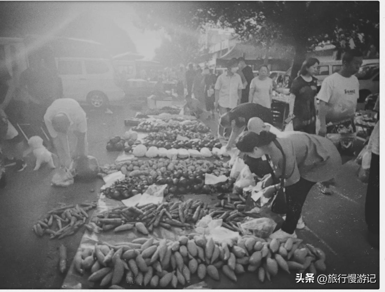 什么品种的茶都喝，任何地点，任何场合都喝