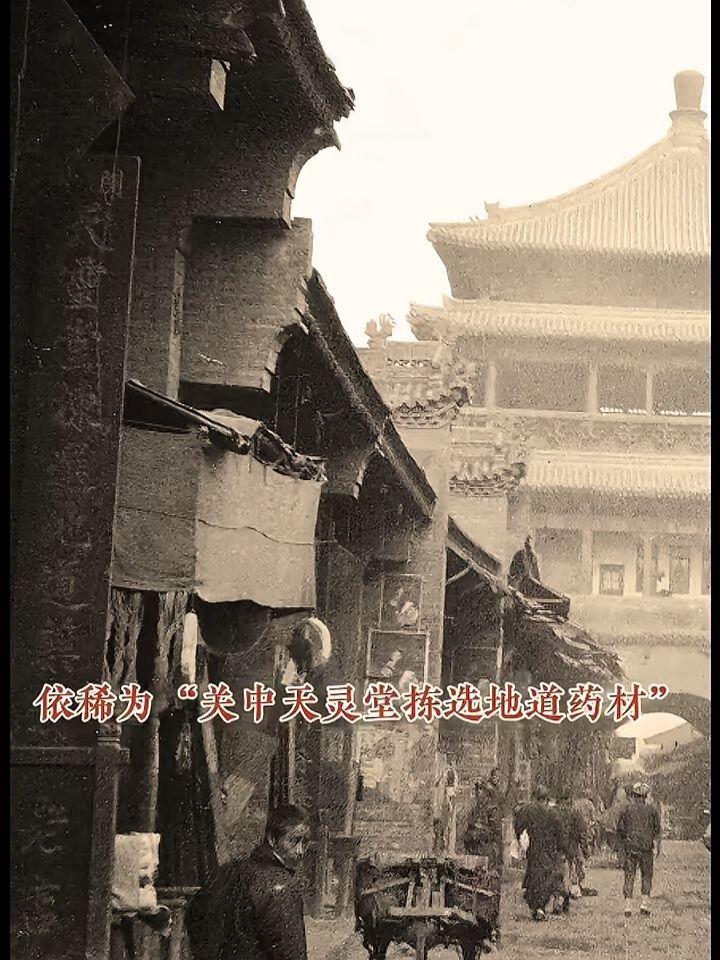 观史