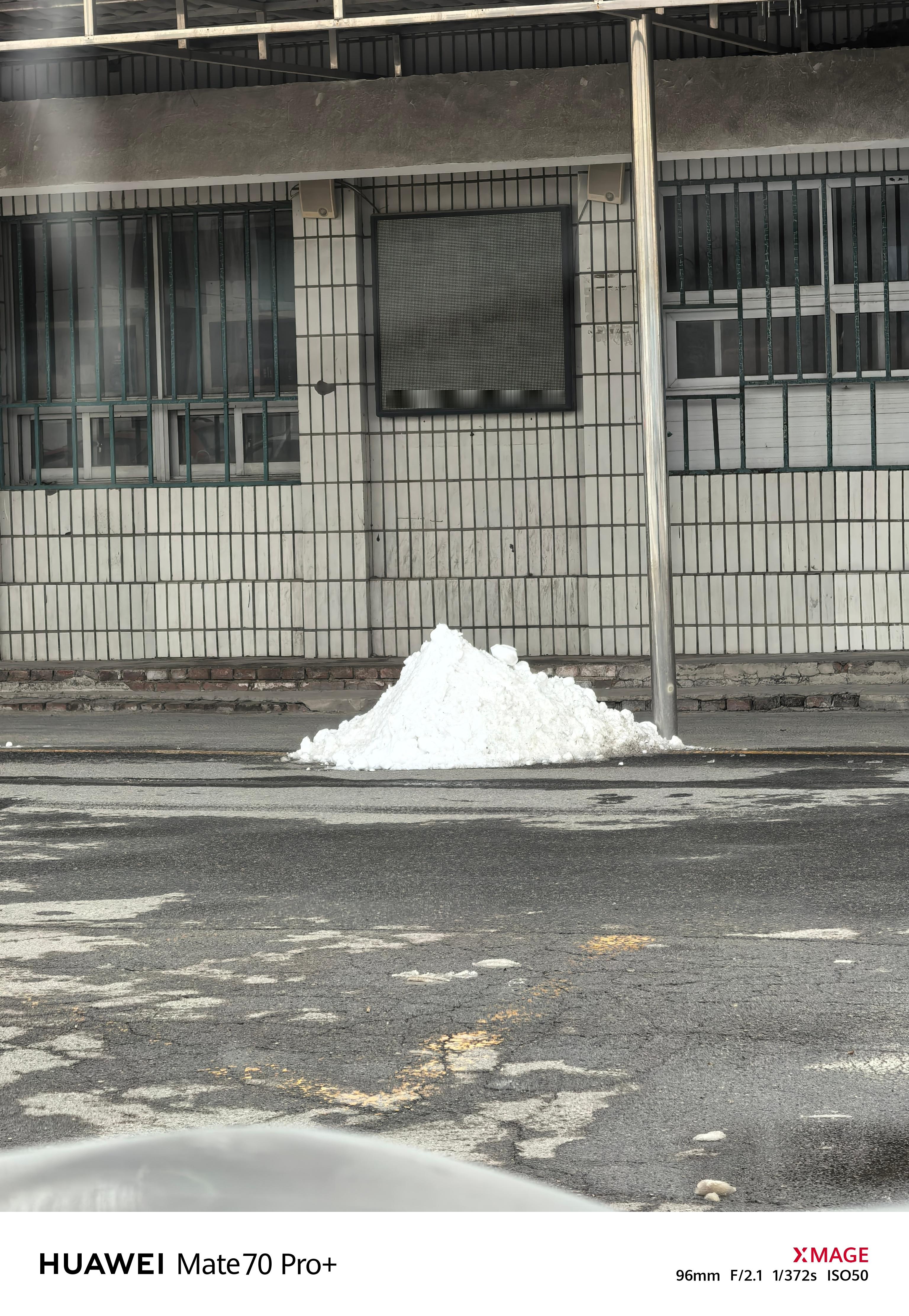 感觉天津的雪比北京的要多，北京大早上的基本上没怎么见到雪... 