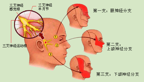 看到杨老师微博分享了眼神经带状疱疹的照片，患者是个小朋友，我没见过这类患儿，大多