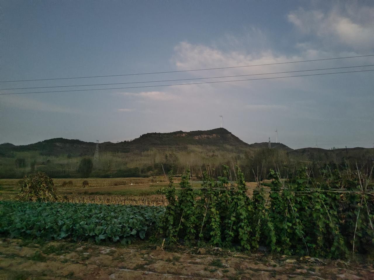 视线拉近，田野呈现出丰富的层次与质感。近处是一片生机盎然的菜园，深绿色的叶菜紧密