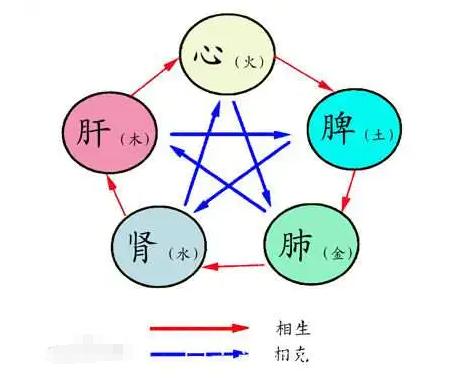 从肝治脾、从肾治心、从脾治肾!3个中成药，养好肝脾肾，无病一身轻！[给力][给力
