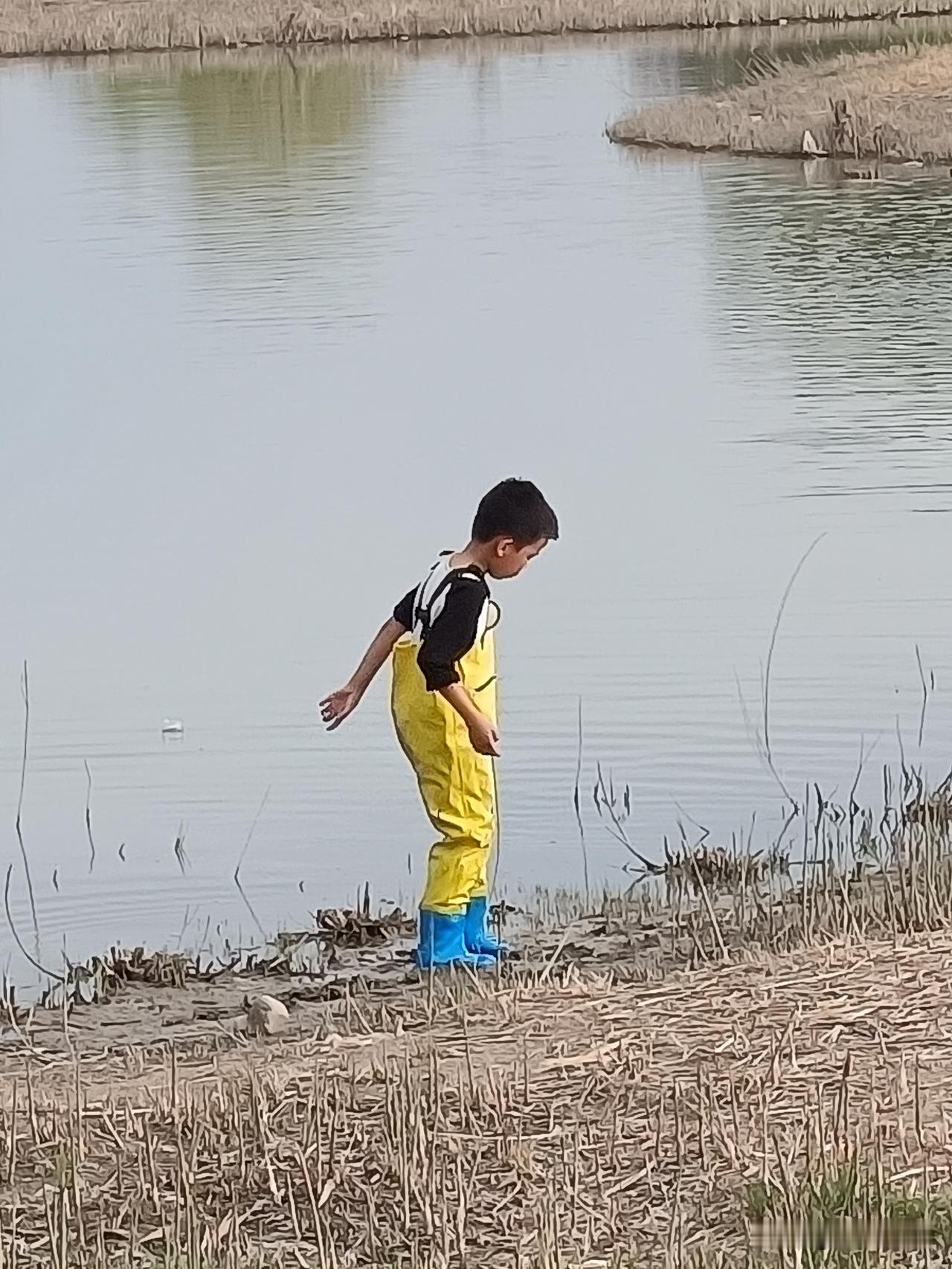 捡了一堆鱼啊！

小明在河滩边发现，好多鱼飘在岸边，他把这些鱼归拢到一堆儿，然后