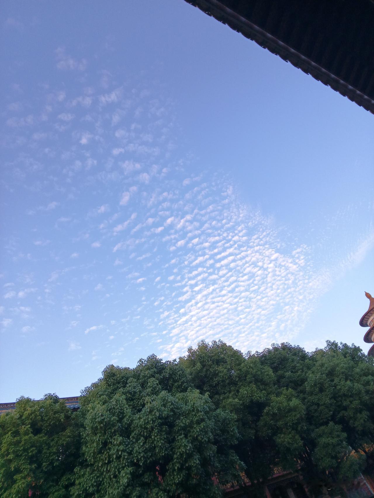 曾有段时间，东方大国的医疗状况可用“缺医少药”来概括，合格医生与药品都十分匮乏。