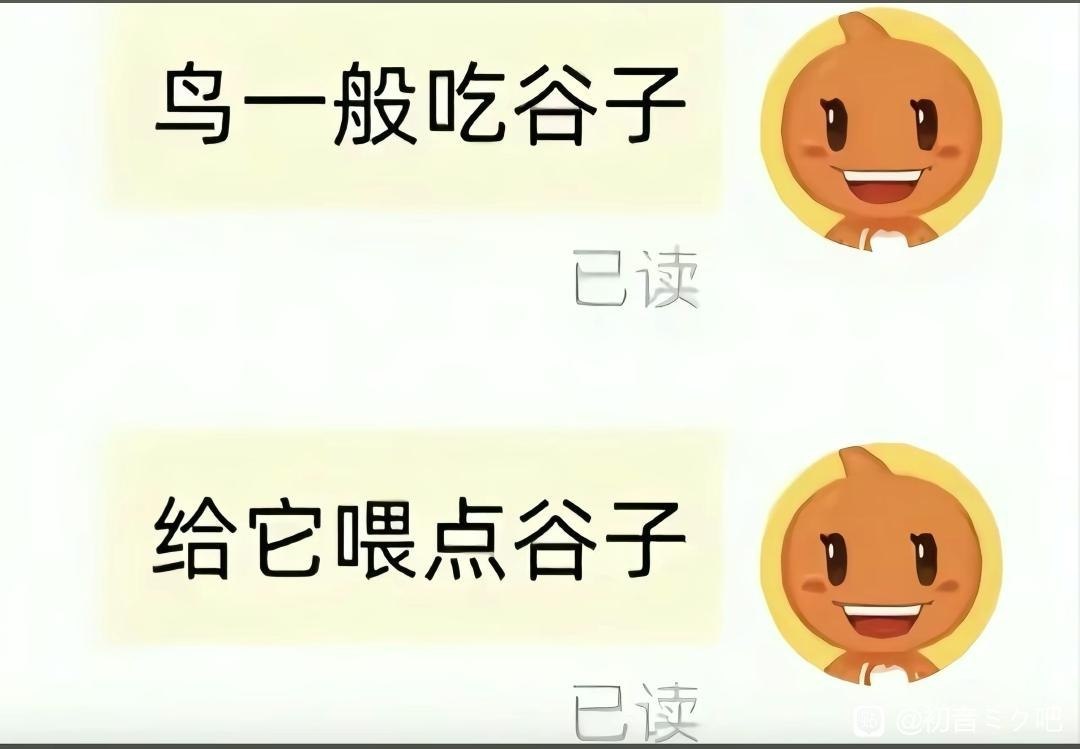 鸟吃谷子，给它喂点谷子 