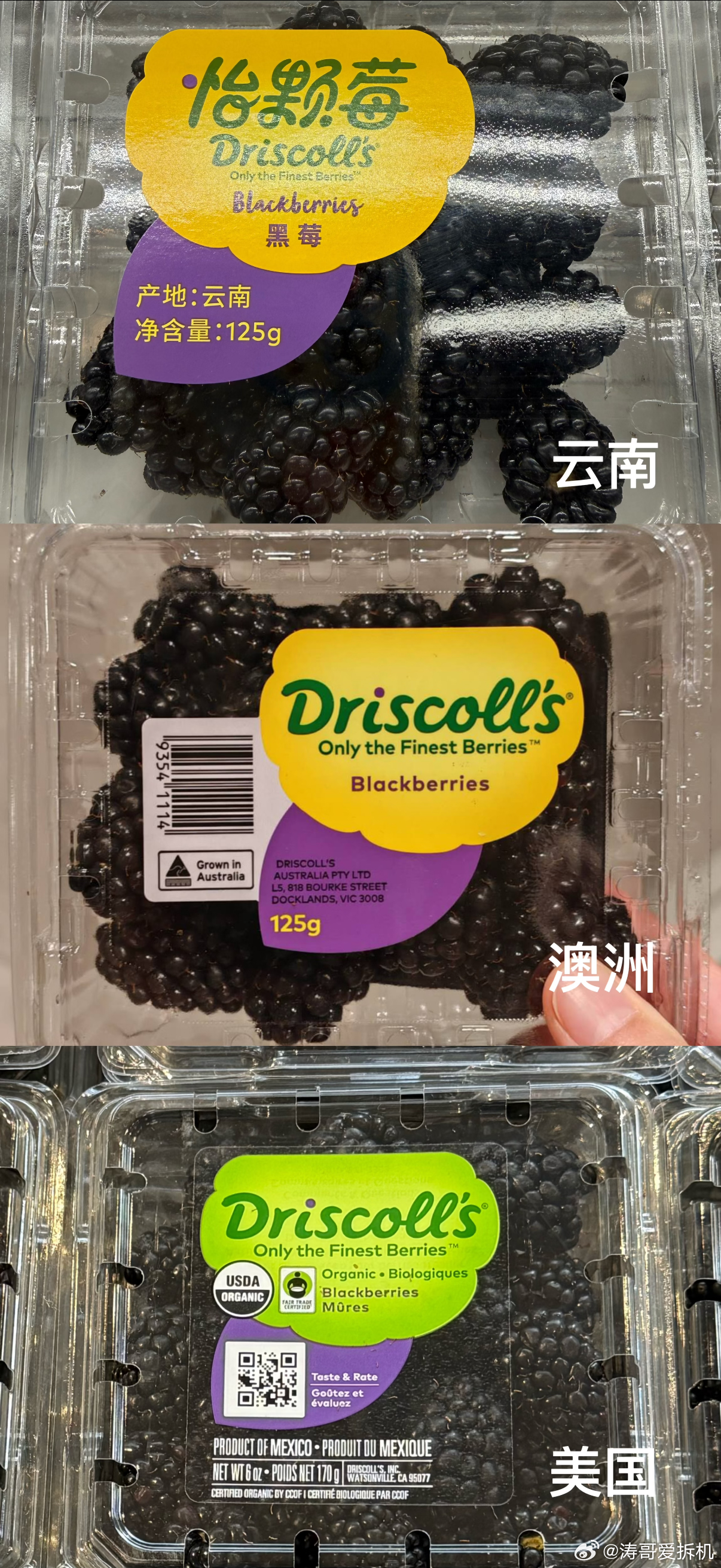 怡颗莓被指永久性化学物含量超标只有美国的超标？国内云南产的怡颗莓有问题不？ 