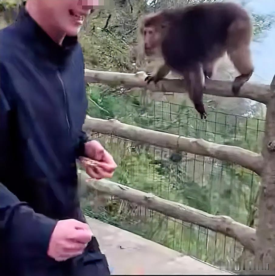 男子是要把猴哥置于死地吗？
开玩笑也不是这样开的。
某景区内，一只猴子正站在悬崖