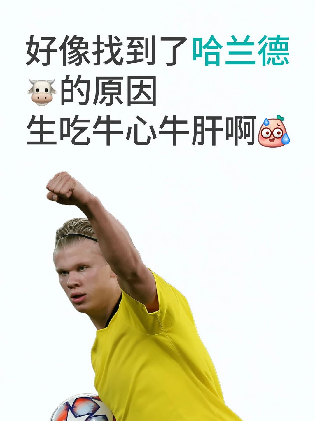 哈兰德生吃牛心牛肝，OMG你吓到我啦