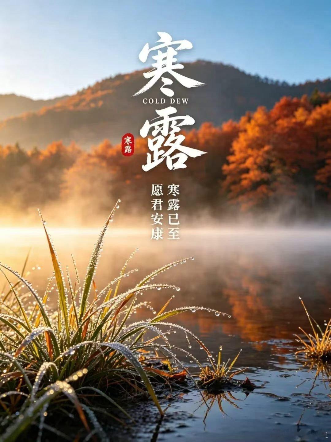 今日寒露，秋意更浓！可是开工第一天，就感觉到了累。心情不越快啊！ ​​​