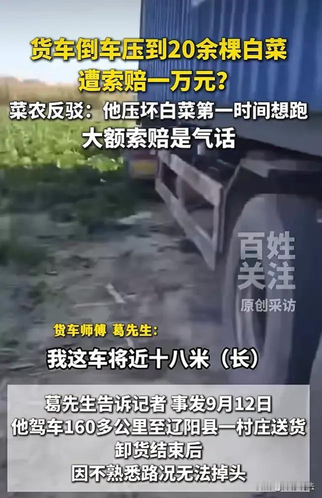 “吃相太难看?”辽宁辽阳，一名货车司机卸完货想掉头，倒车时轧了地里的20多棵白菜