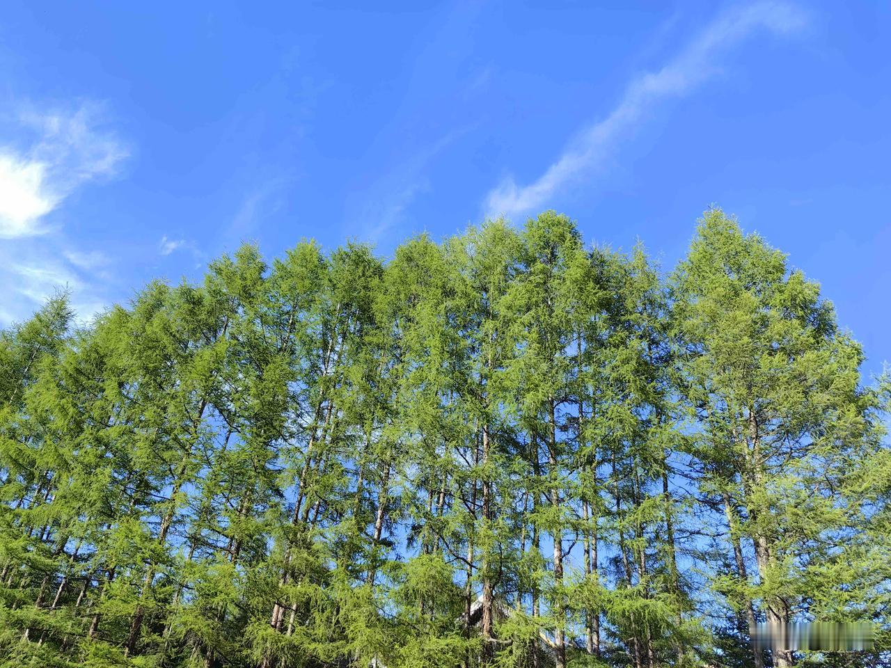 夏天大量出汗就是排毒？高温天气，大量出汗并不等于排毒。

很多人存在这样的认知：