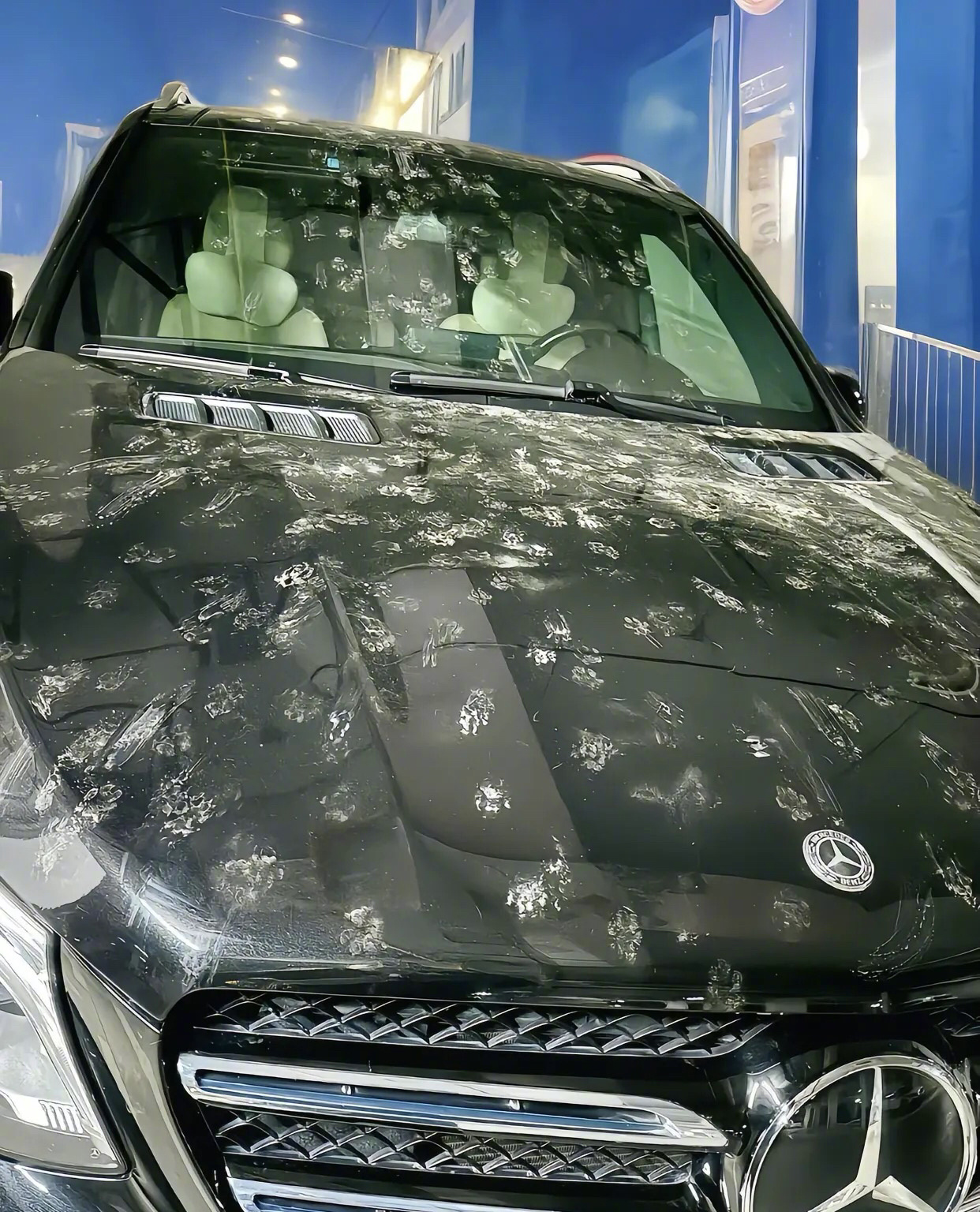 不知道是谁干的！！！