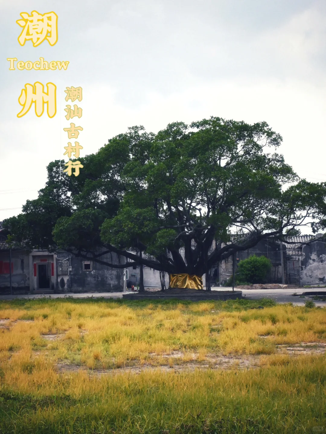 潮州乡行录10｜仁里