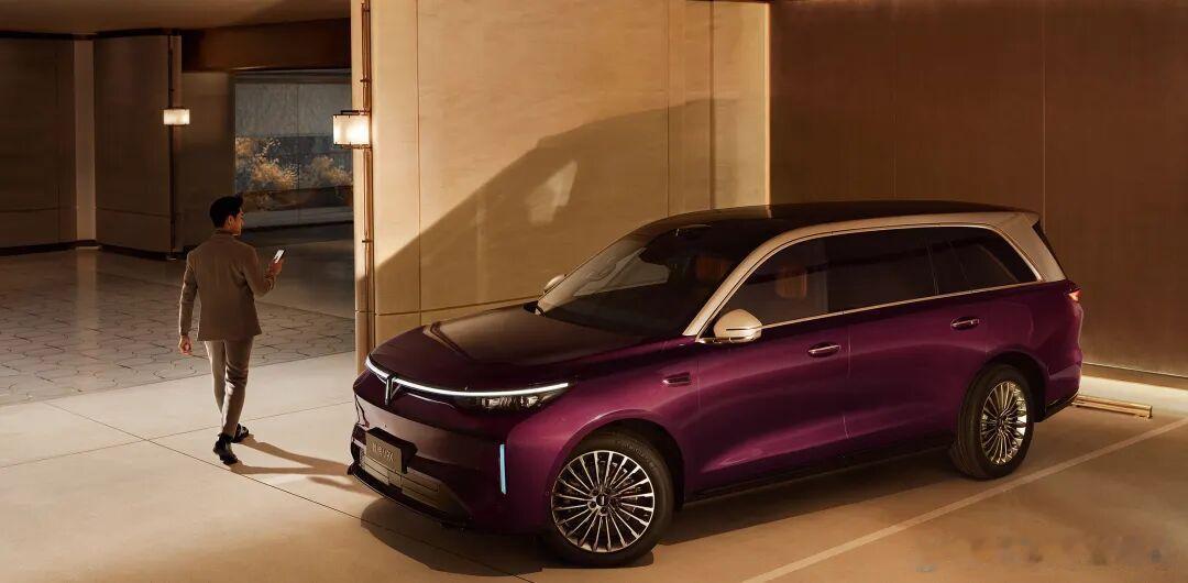 魏牌4月17日，魏牌V9X正式开启预售，各版型预售价分别为：豪华加长版 37.1