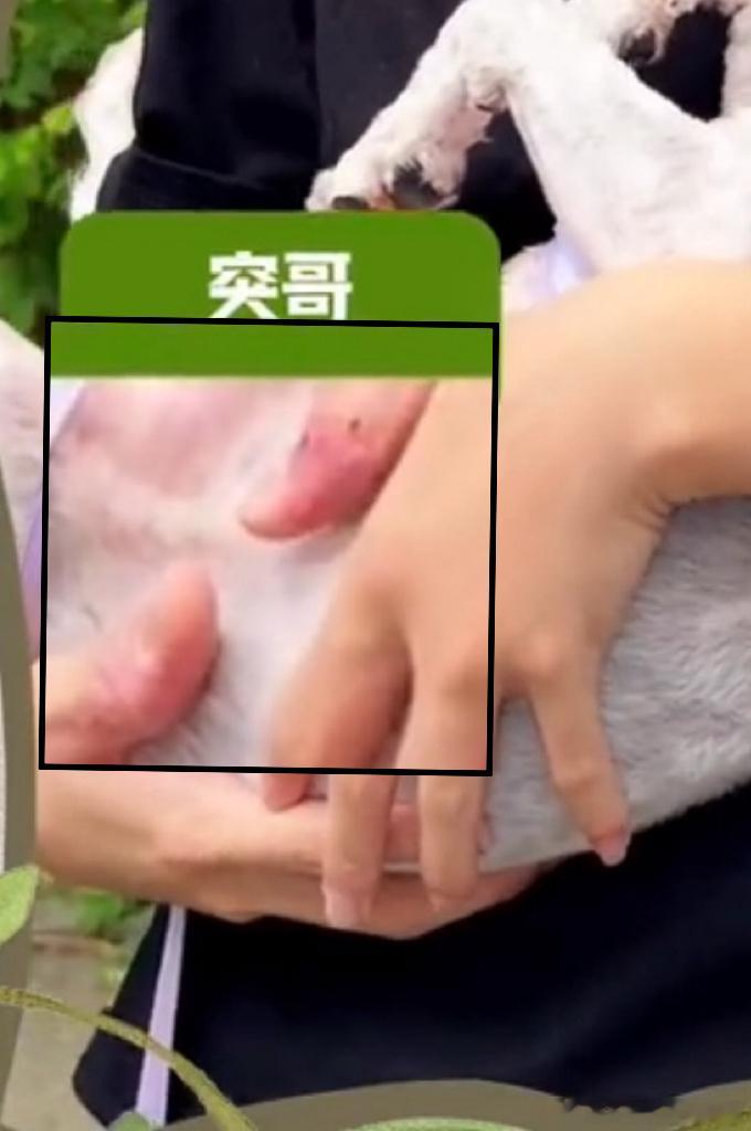 比起其他的一切，更希望你开心健康。 