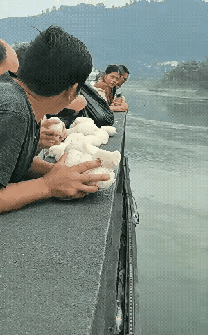 这些人年龄也不算小了，这样浪费粮食，让八看着就心疼这些白面馍头，才吃几年的饱饭呀