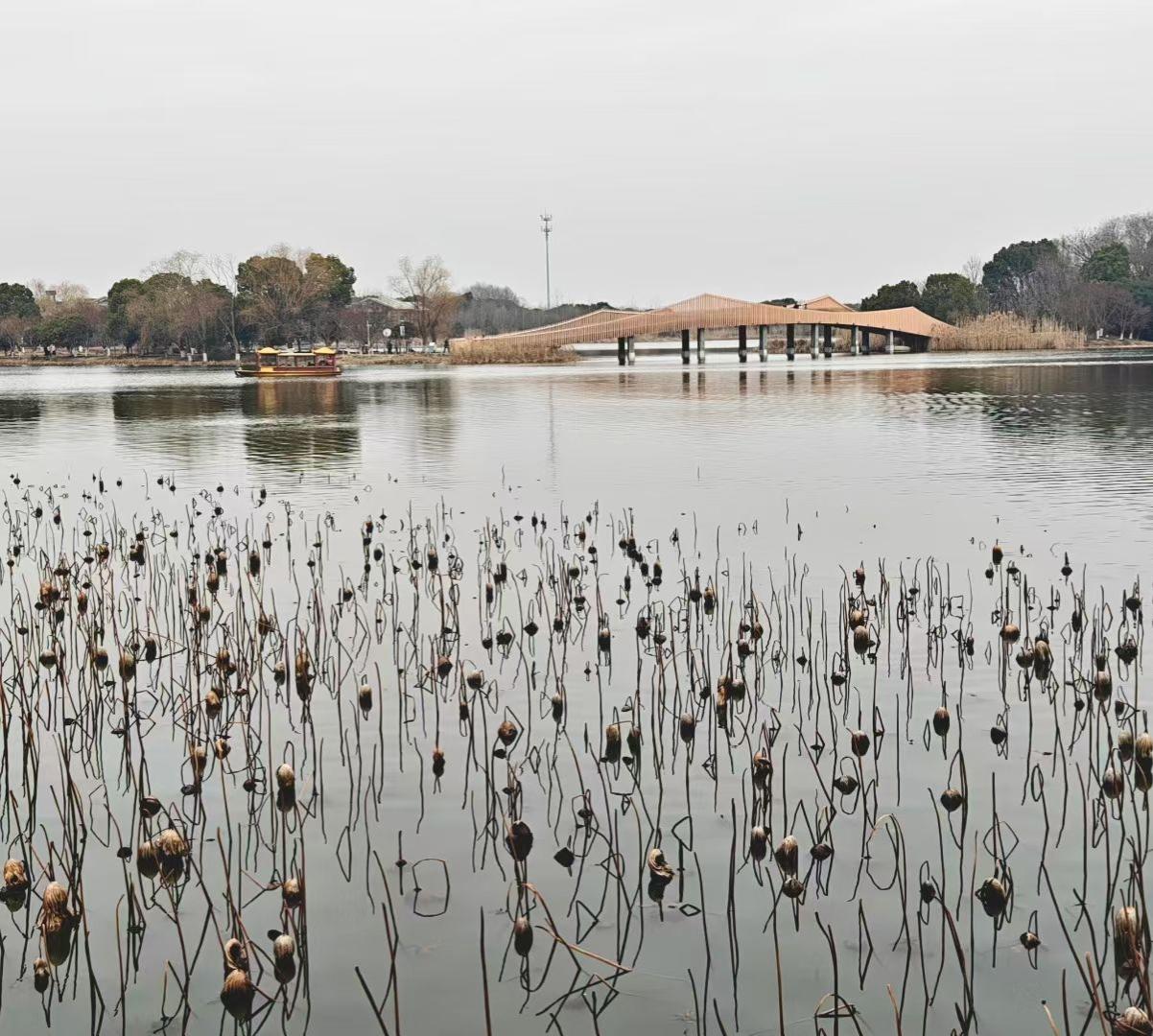 冬意未消，心已向暖，
那些沉淀在时光里的风骨，
终会等来下一季的盛放。