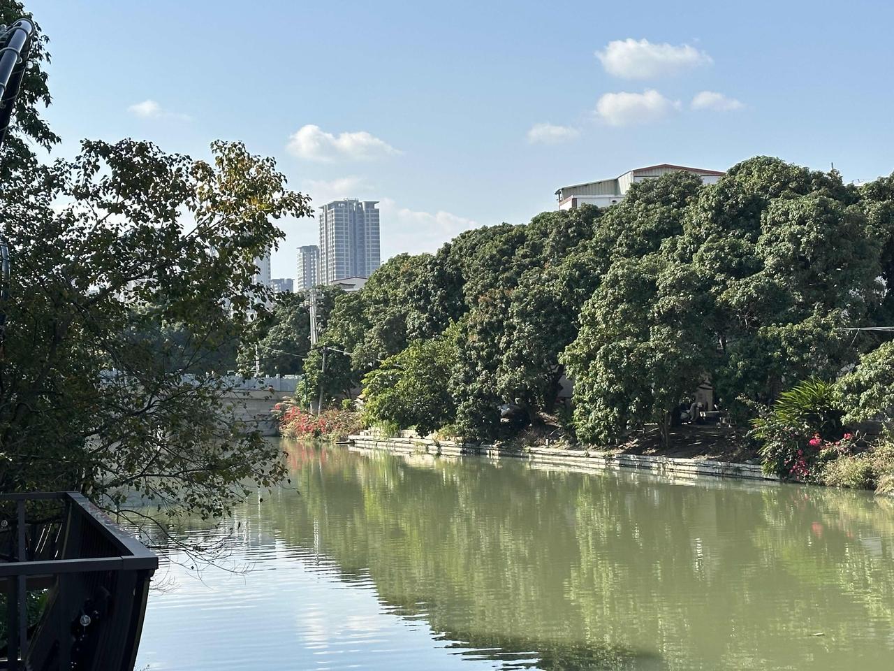 荔林成海，碧水环绕
绿浪涌向天际，水系串联阡陌。北大村，一座生长在荔林与碧波间的