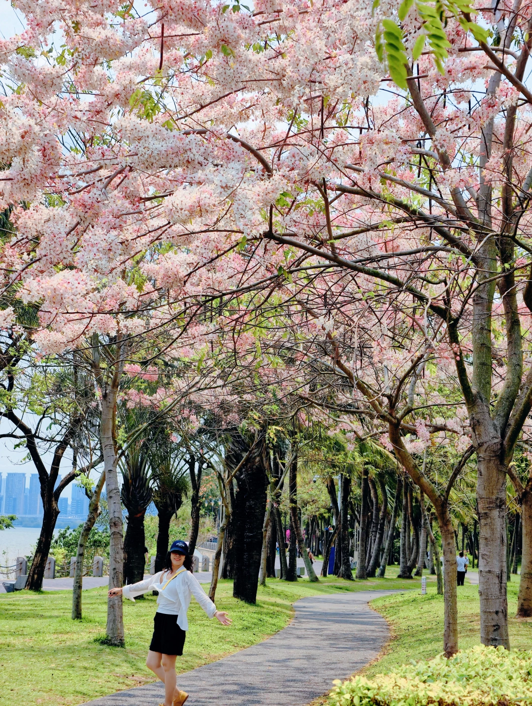 请把深圳的慢时光，浪费在这个免费的公园吧