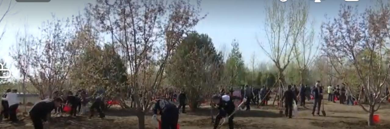 春回大地，植绿添彩正当时。2026年共和国部长义务植树活动在北京火热开展，众人手