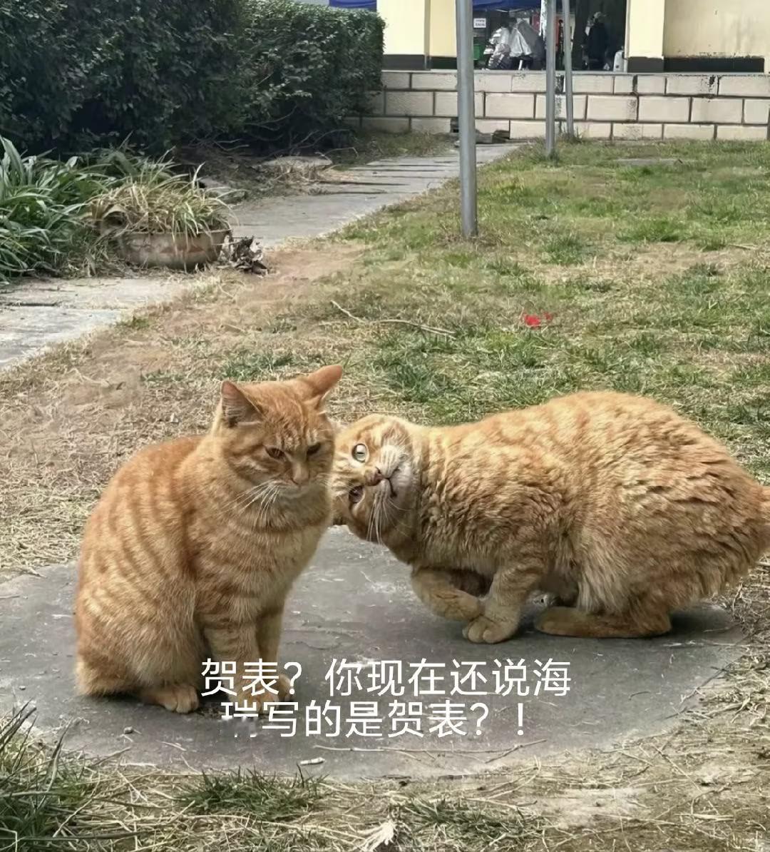 12306拒绝抢票软件出票超百万张怎么还有人替赛博黄牛共情的？抢票软件的技术本质