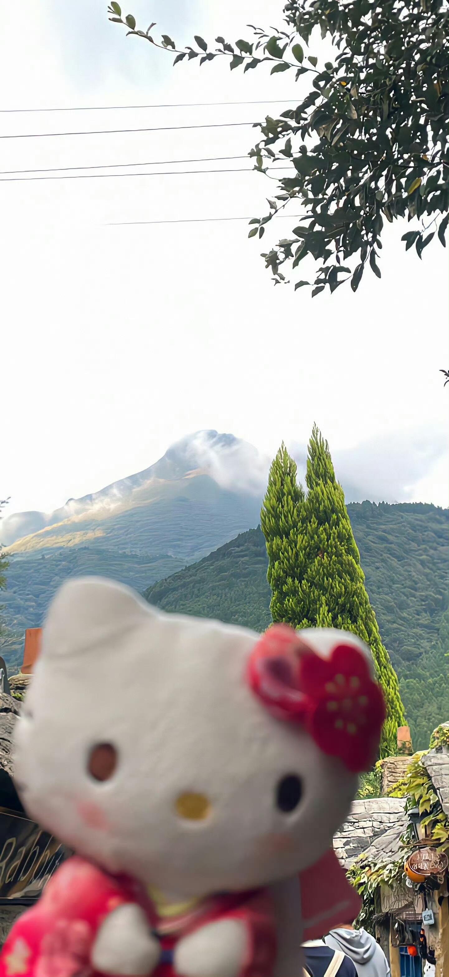 治愈系壁纸｜解锁一天好心情✨ | 手机壁纸 