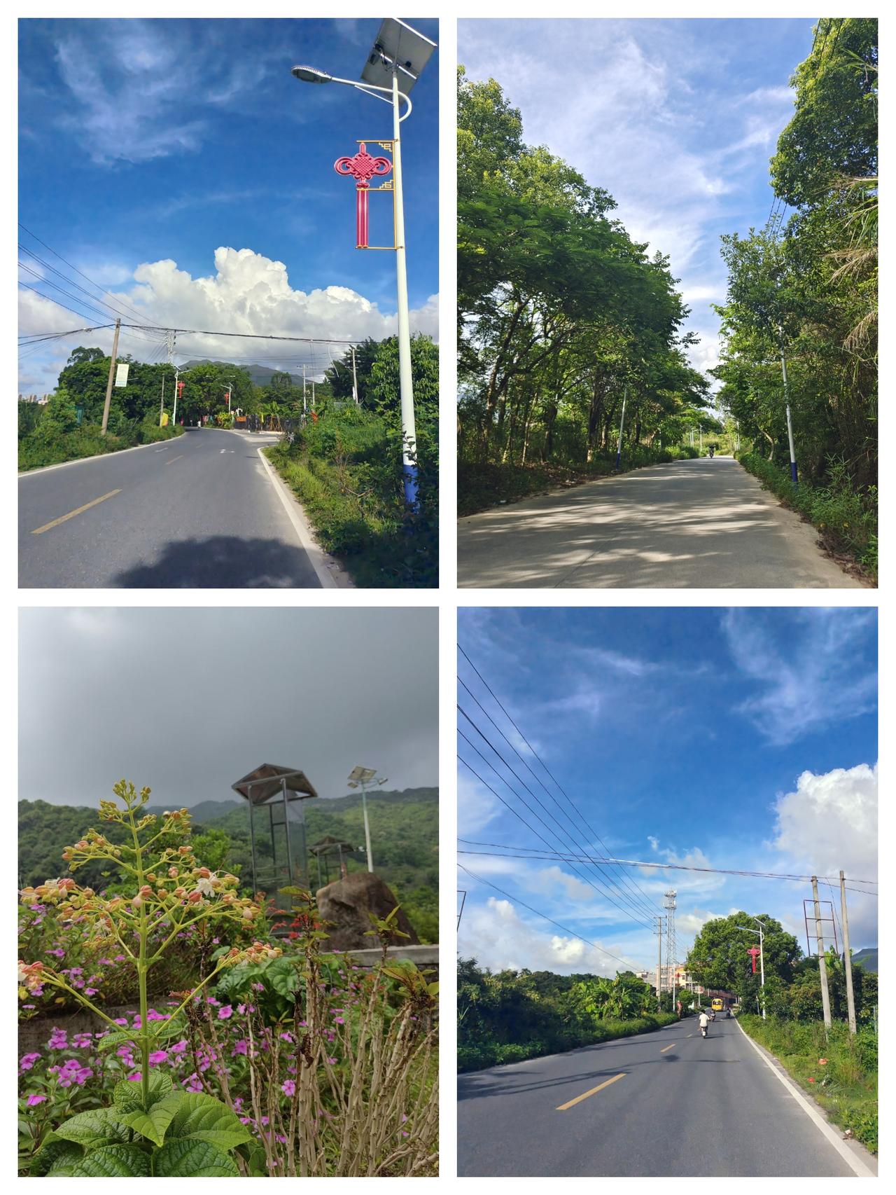 家附近的风景，这天真蓝！
