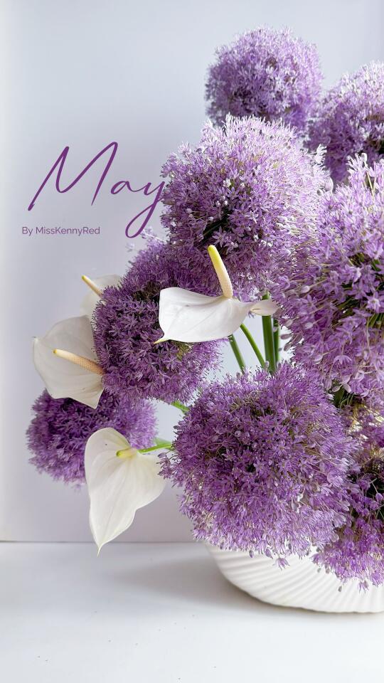 有贝壳的星星｜季节花材.大葱花