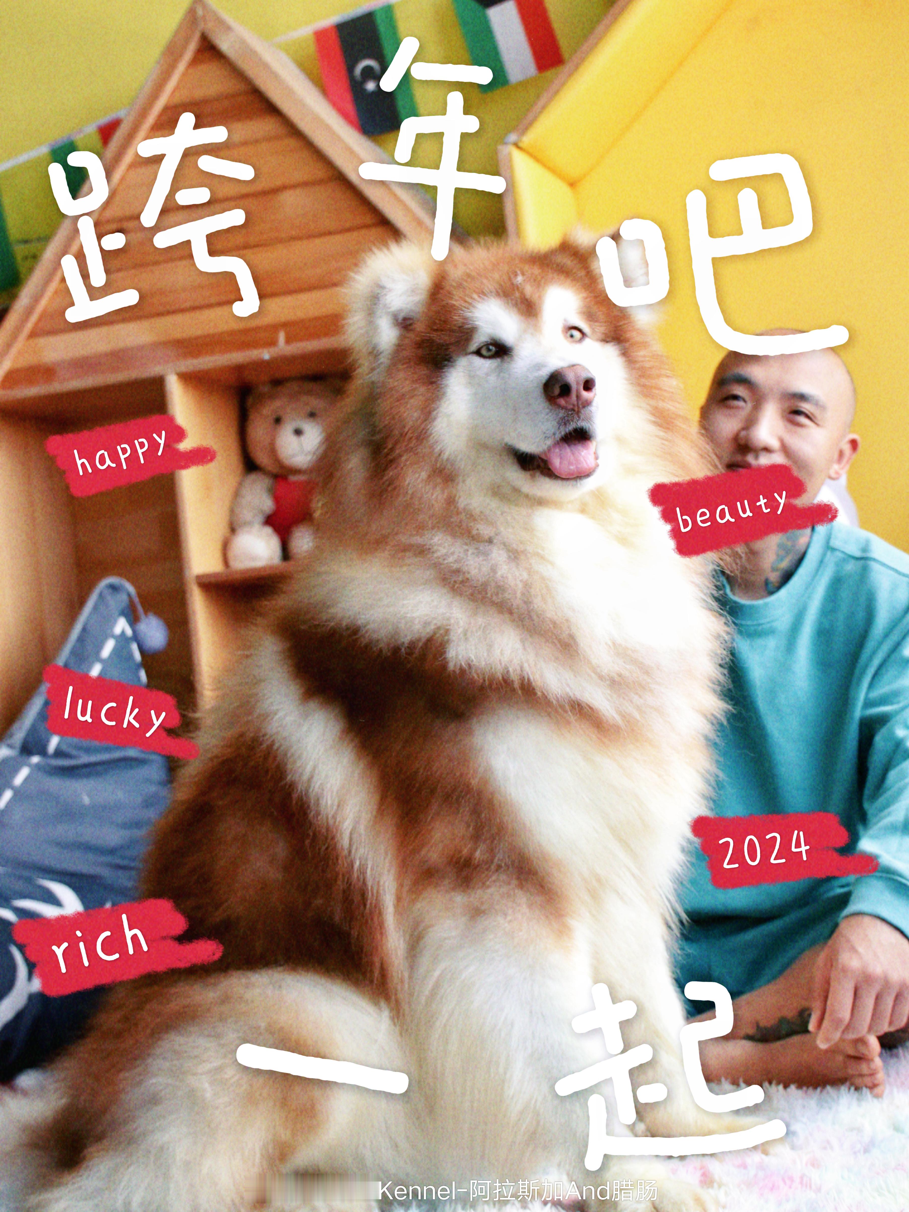 元旦快乐丫头家犬舍正式步入 15年了 [太阳][太阳]距离百年老店还有85年 ​