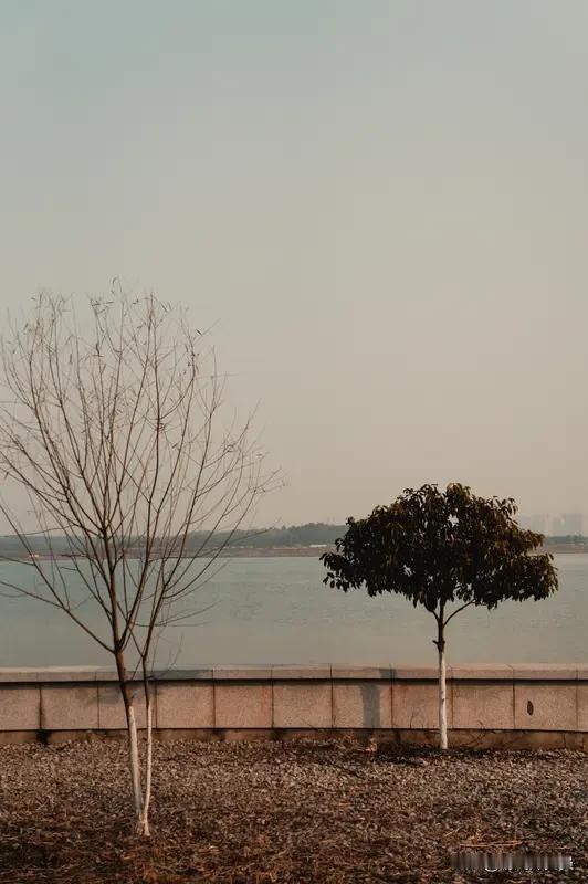 想在《坦克世界》拿首胜，有几个小窍门。我觉得选对坦克很重要，低级坦克操作简单，容