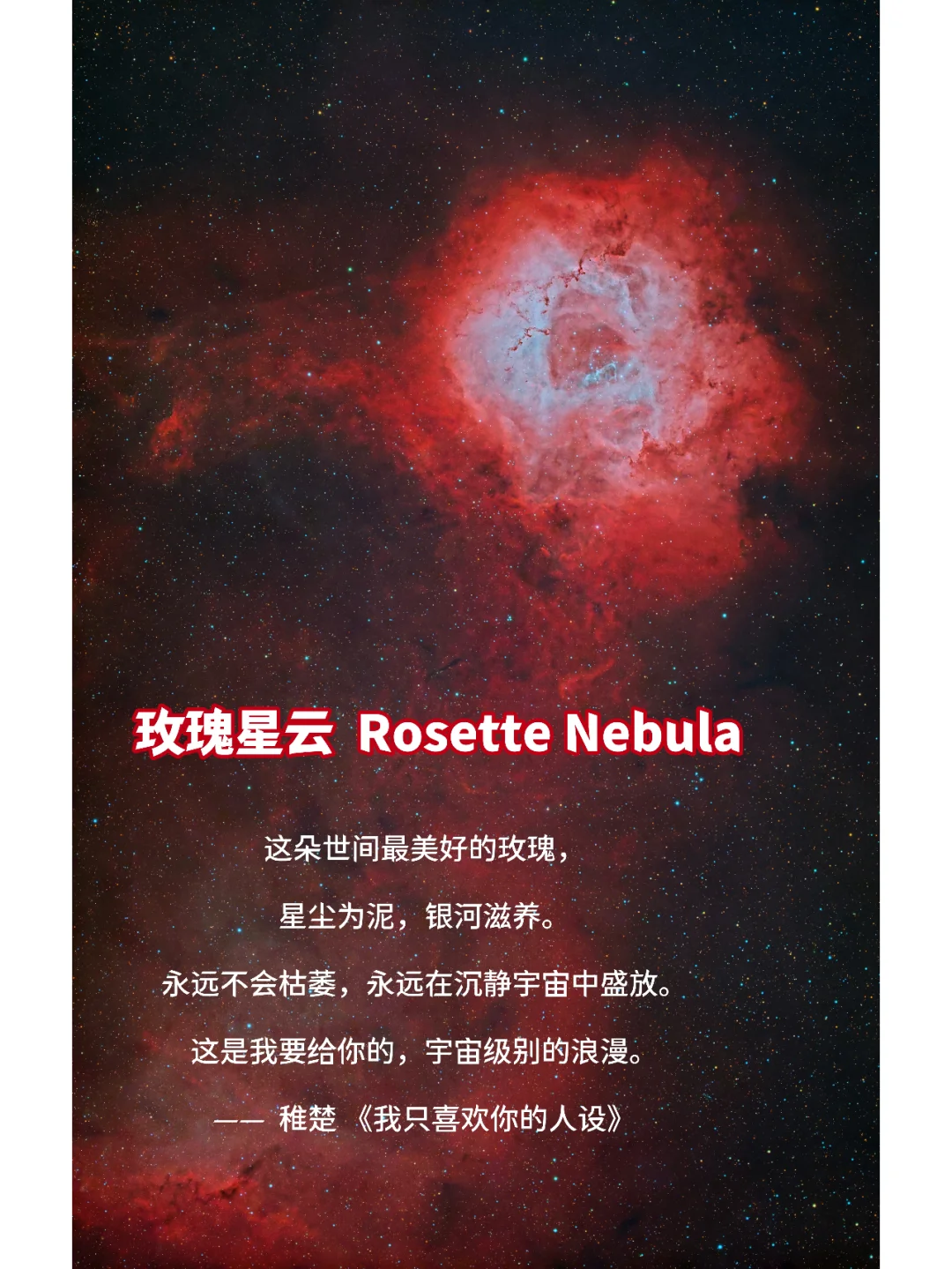 宇宙级别的盛大告白 —— 玫瑰星云