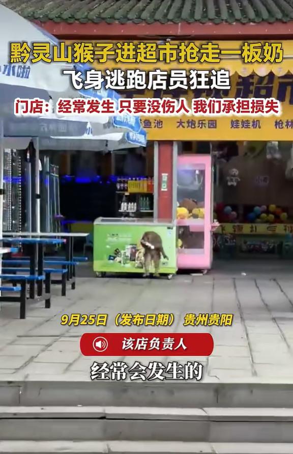 9 月 25 日荔枝新闻报道，在贵阳黔灵山附近一家超市，上演有趣又惊险的一幕，一