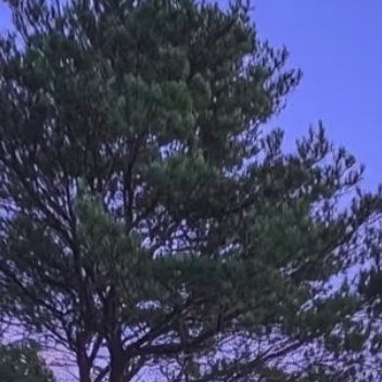 每日一善  每日一善   阳光信用 人生路上，要学会善待，善待他人，可以让人生走