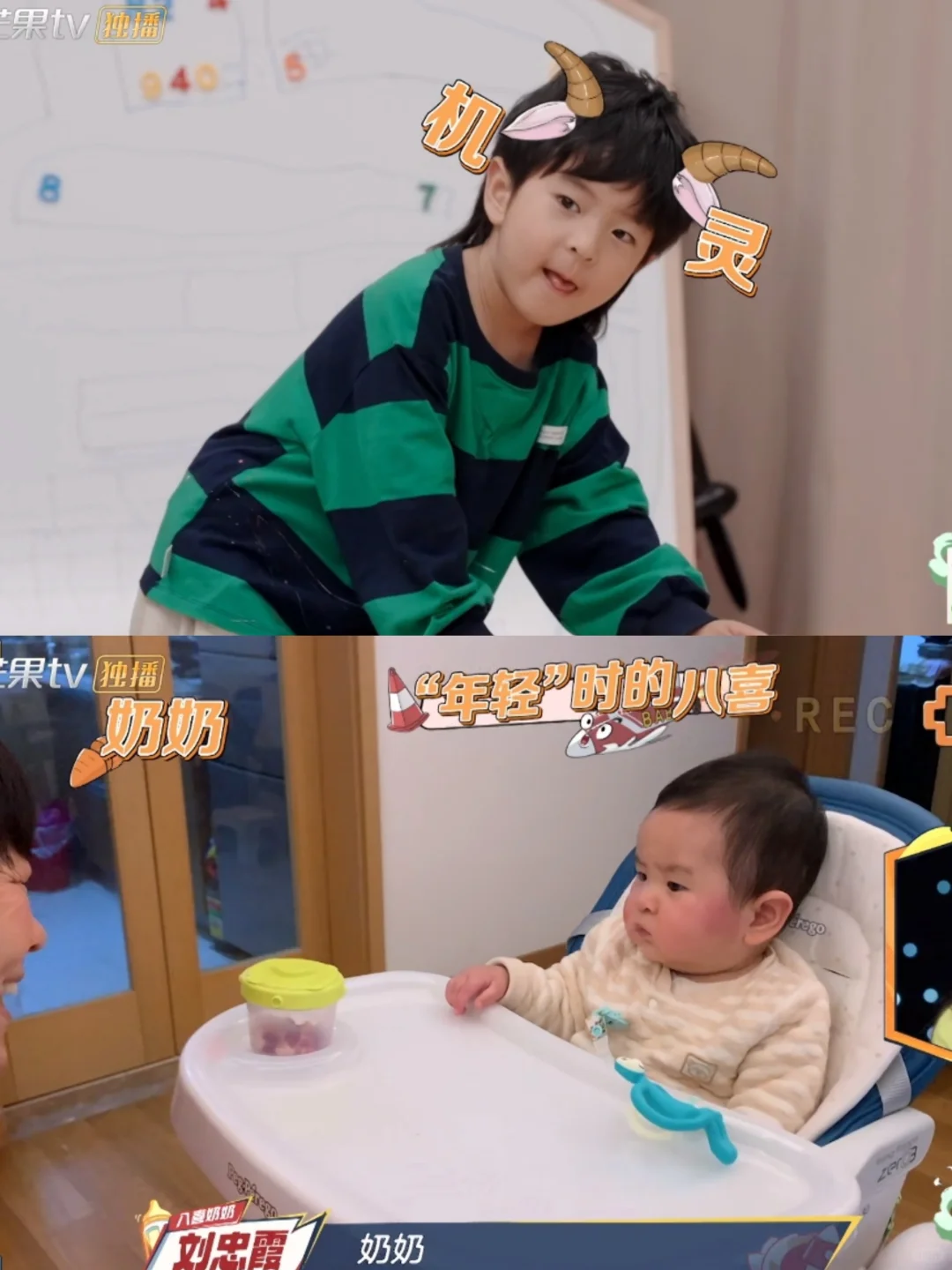 八喜小时候就是这么稳重可爱啦啊哈哈