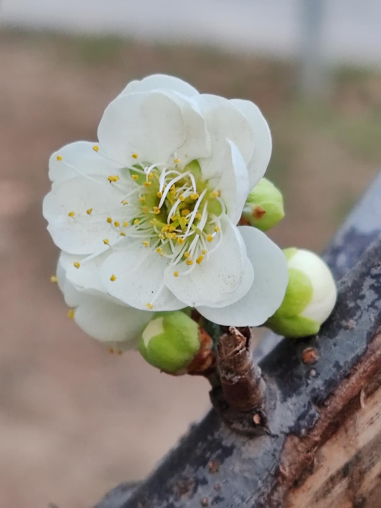 养了一百个孩子，没一个孝顺的，你这一辈子算是遭罪了。养了一百个孩子，只要有一个孝