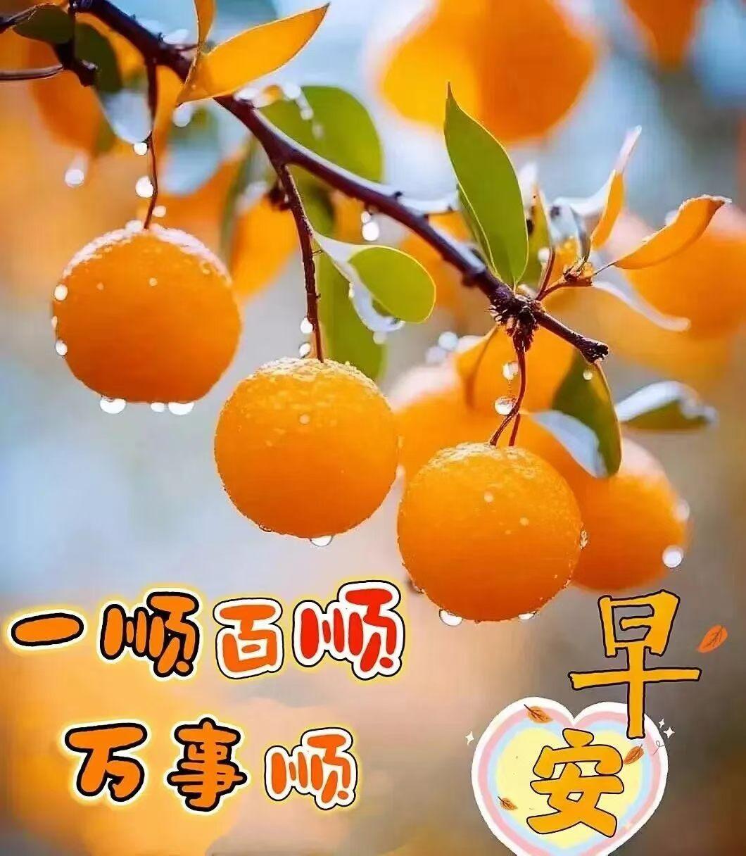 早上好，吉祥如意，心想事成。[送自己一朵花][送自己一朵花][送自己一朵花][玫