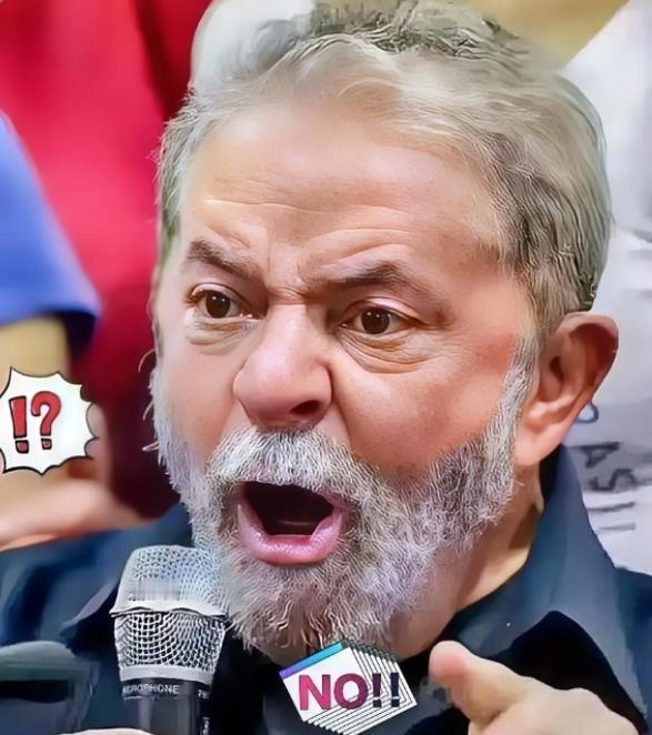 巴西对华新消息！12月3日，巴西外贸委员会正式宣布，取消对中国义乌华鼎锦纶公司尼