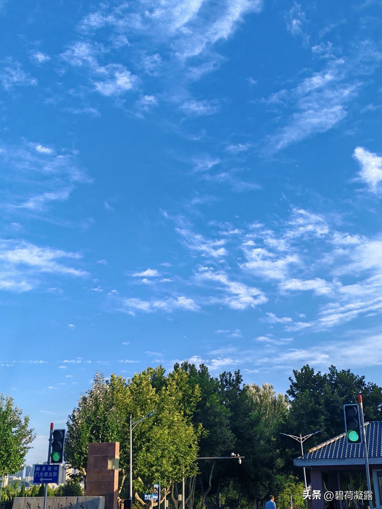 天气突变，北风呼啸，猝不及防突然冷了下来，出门要添加衣物了，你们那里是不也降温啦