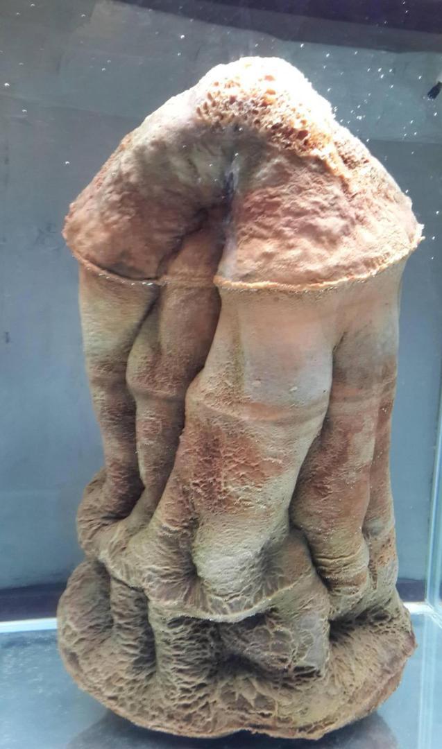 1993年7月，国家地质部一钻井队在河北省完县打井。当钻头打到117米深时，钻井