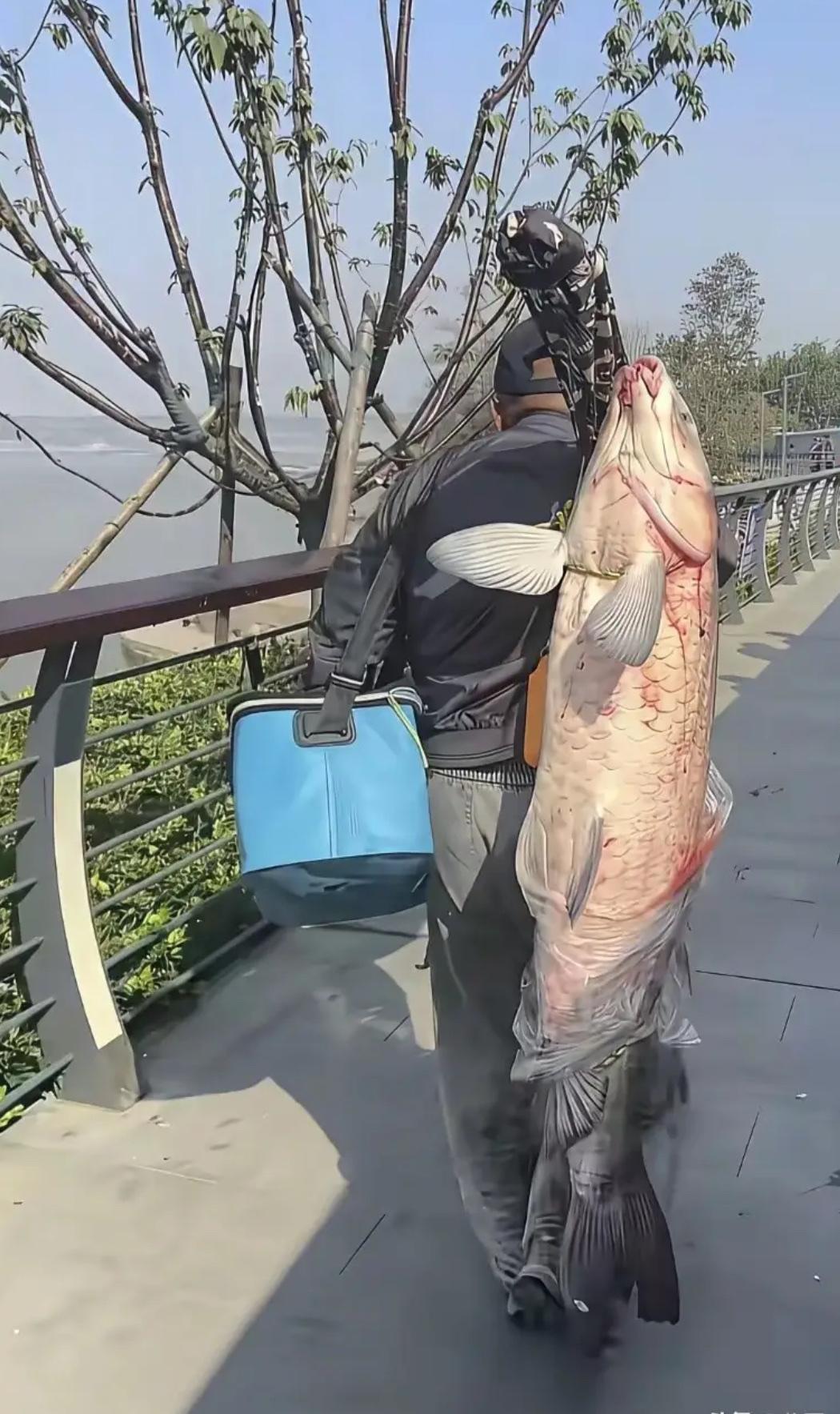 钓到大鱼你会选择放生吗？不同场景下，“放不放”藏着对自然的敬畏

钓到大鱼后“放