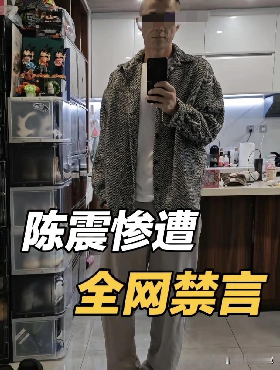顶格处罚！陈震被全网禁言，原因是？
陈震被全网禁言了，这你受得了吗？而且平台提示