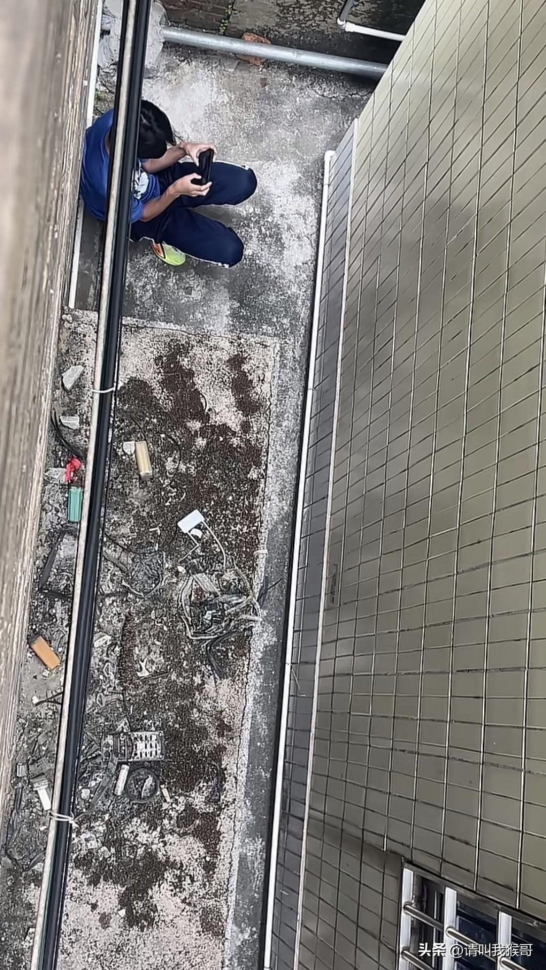 这娃算是废了，天天蹲在这里玩游戏