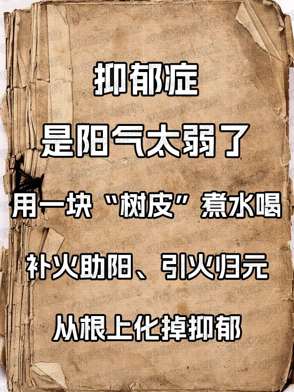 抑郁症，是阳气太弱了！用一块“树皮”煮水喝，补火助阳、引火归元，从根上...