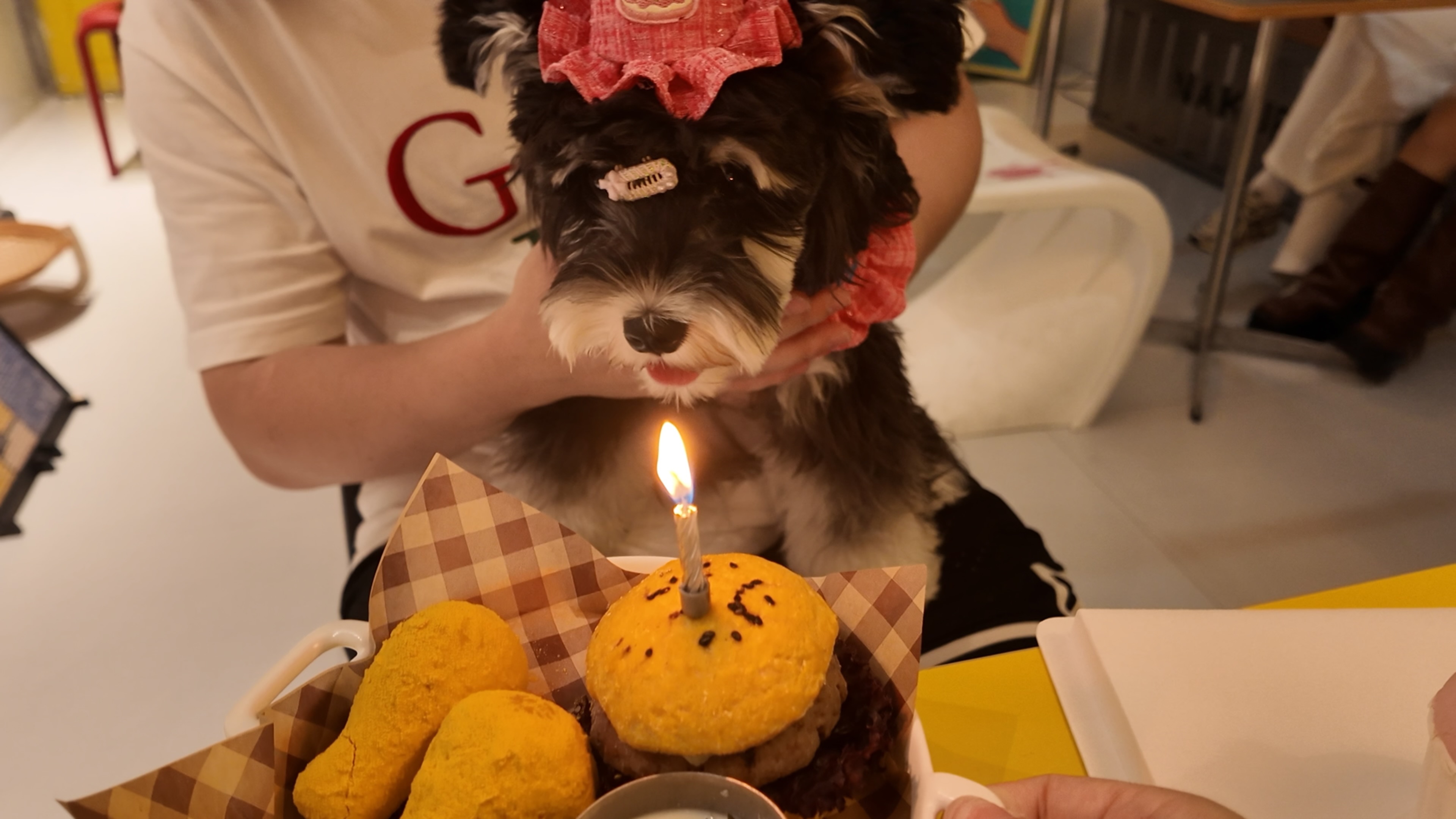 生日快乐 小啾🐾麻麻希望你健康快乐平安 每年都有不同口味的🎂  ​​​