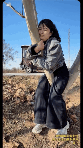 疼死了，
半天下不来！
说你淘气，
你都多大了？
说你会玩，
可你却造成了硬伤！